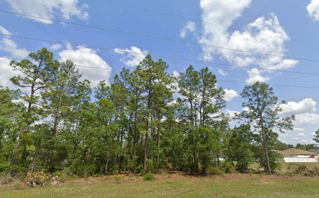 SW 484 HWY #Lot 6, OCALA, FL, 34473