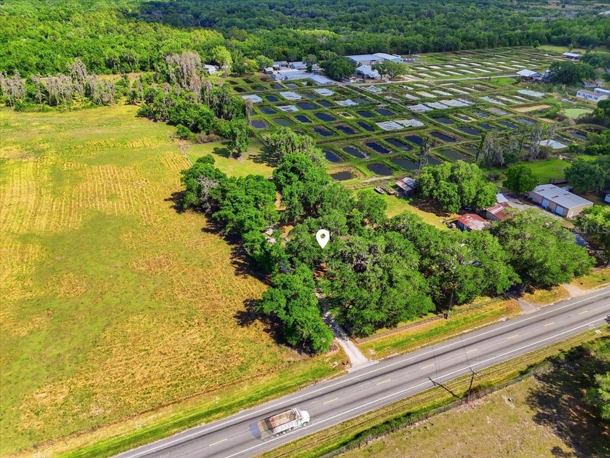 4205 N COMBEE RD, LAKELAND, FL, 33805