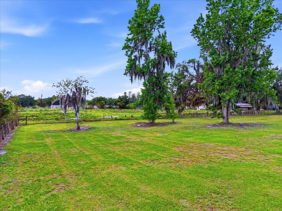 4205 N COMBEE RD, LAKELAND, FL, 33805