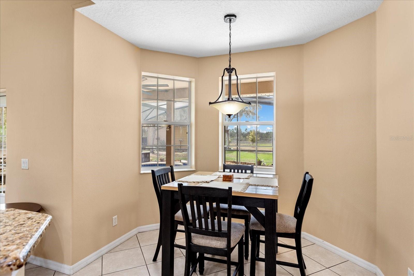 31518 NUTMEG AVE, EUSTIS, FL, 32736