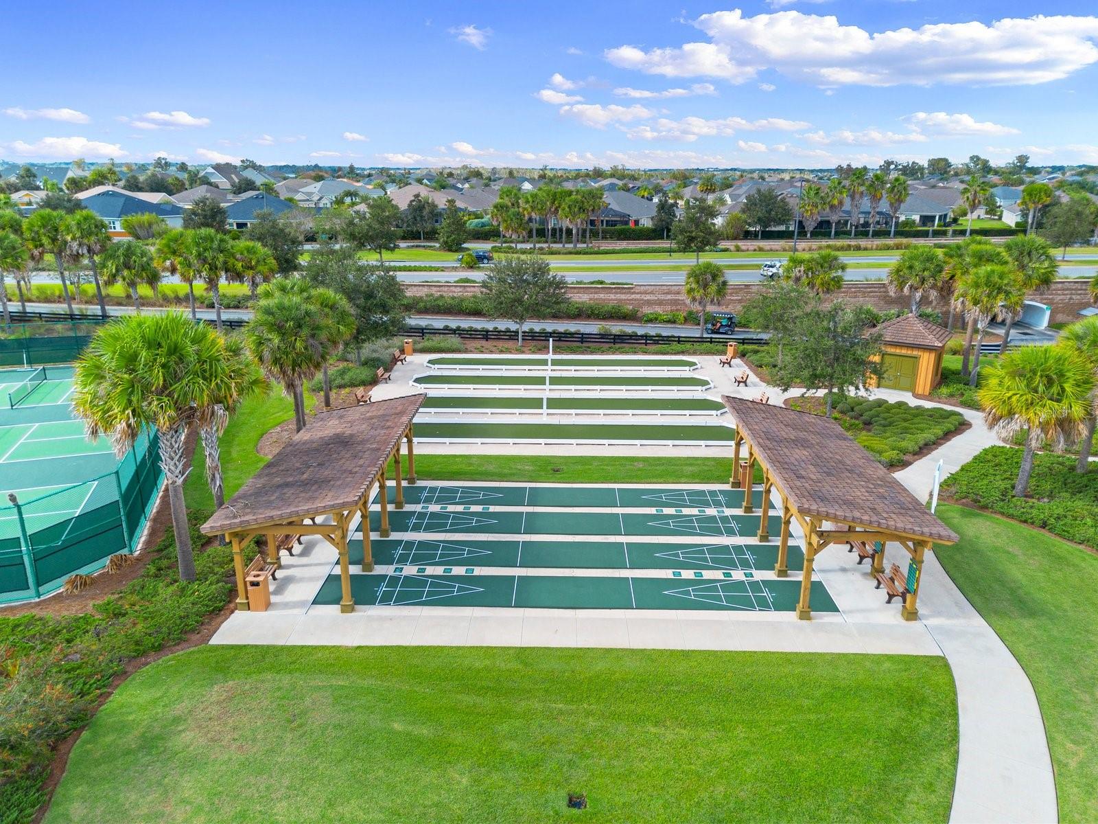 2247 SHANEWOOD CT, THE VILLAGES, FL, 32162