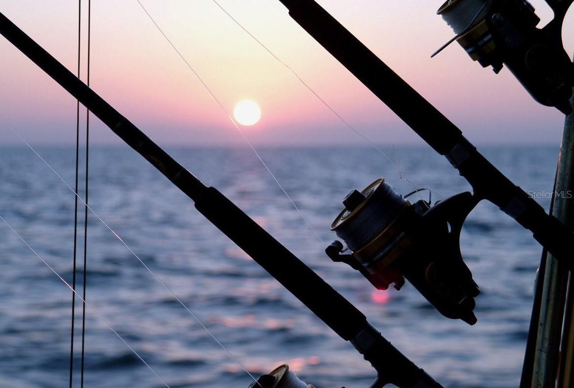 8915 STERLING LN, PORT RICHEY, FL, 34668