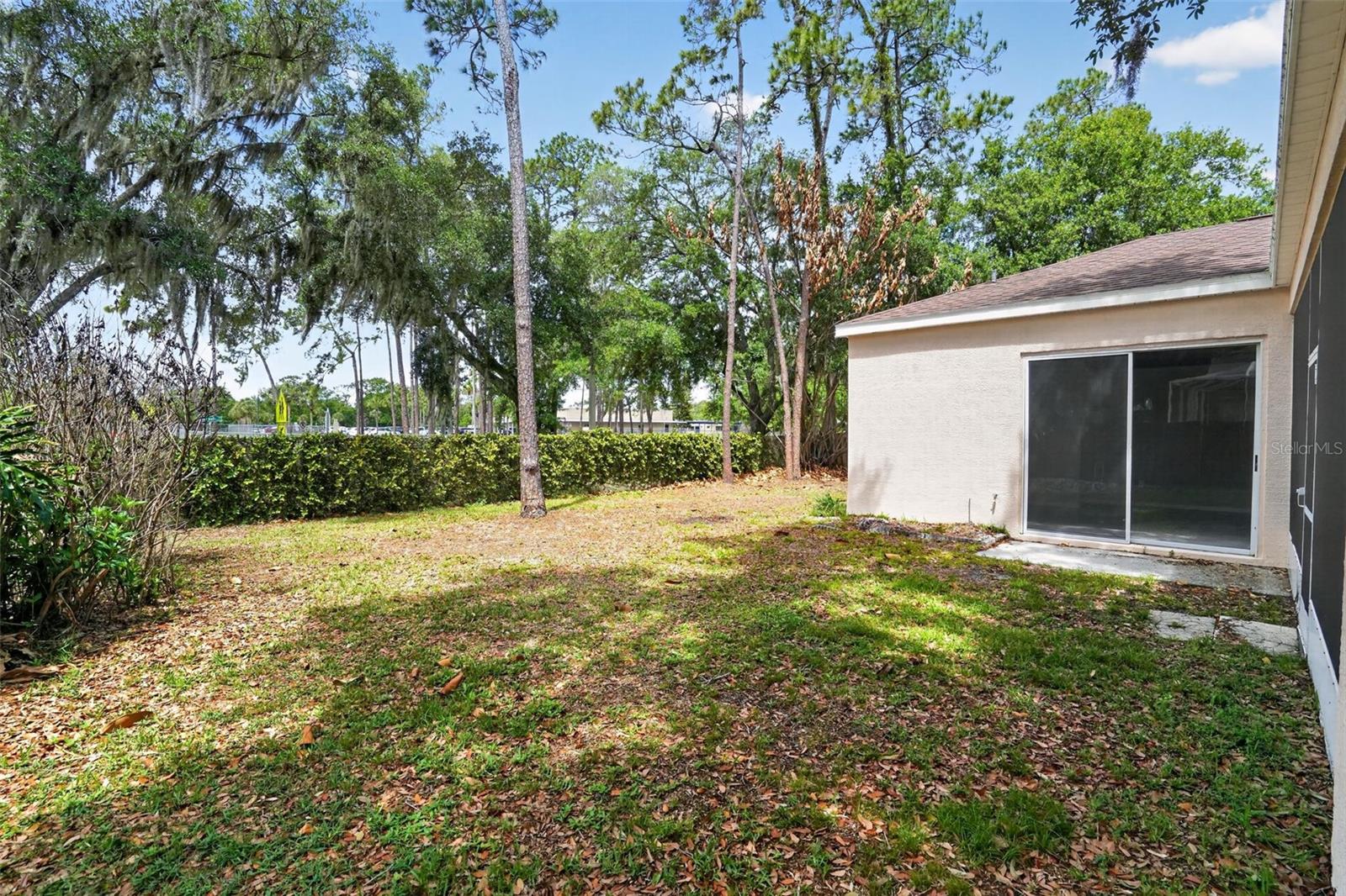 3725 HOLLOW WOOD DR, VALRICO, FL, 33596
