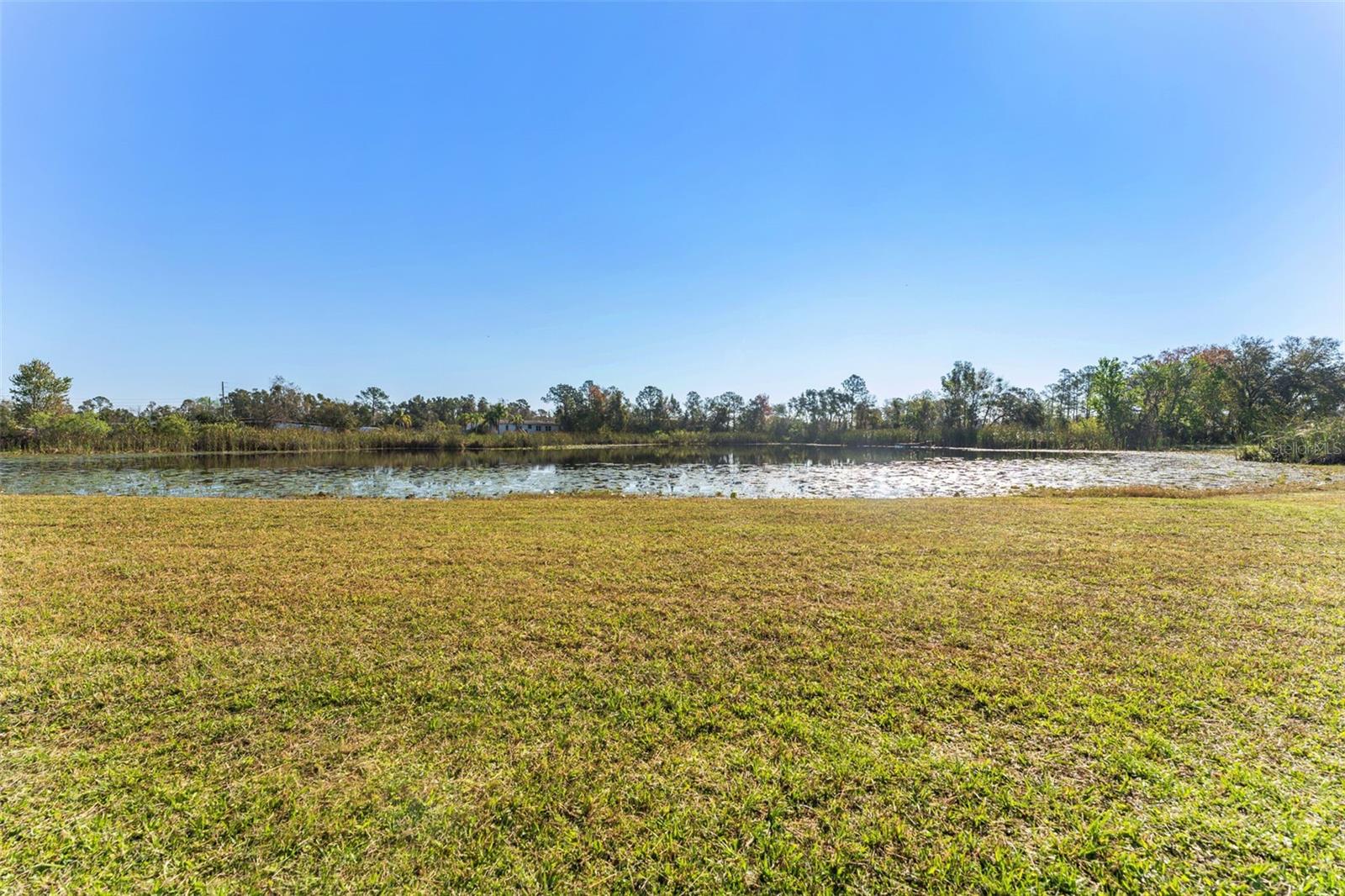 6288 SHINER ST, LAND O LAKES, FL, 34638