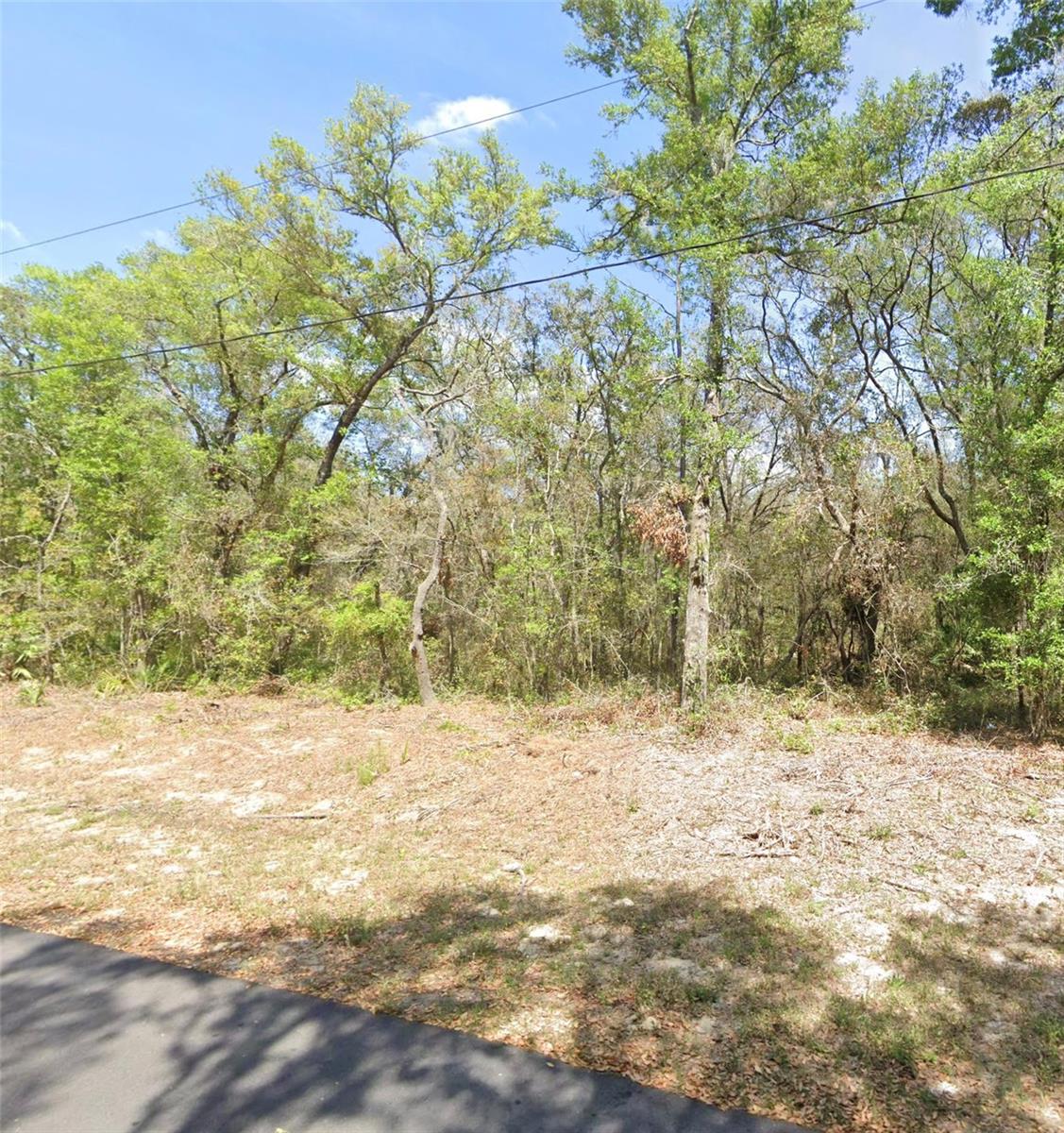 TBD LOCUST TERRACE PL, OCALA, FL, 34472