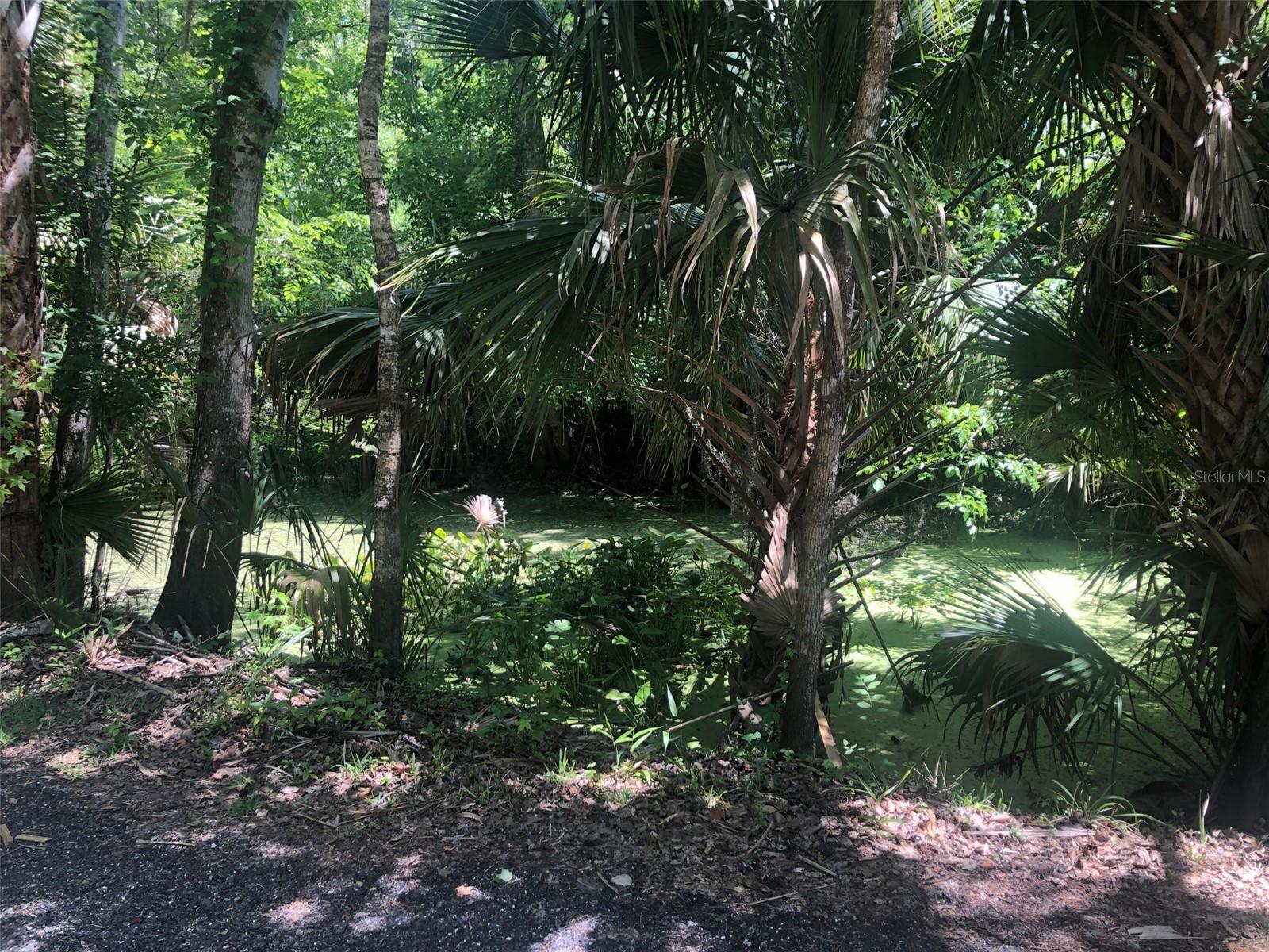241 NOVA DR, SANFORD, FL, 32771