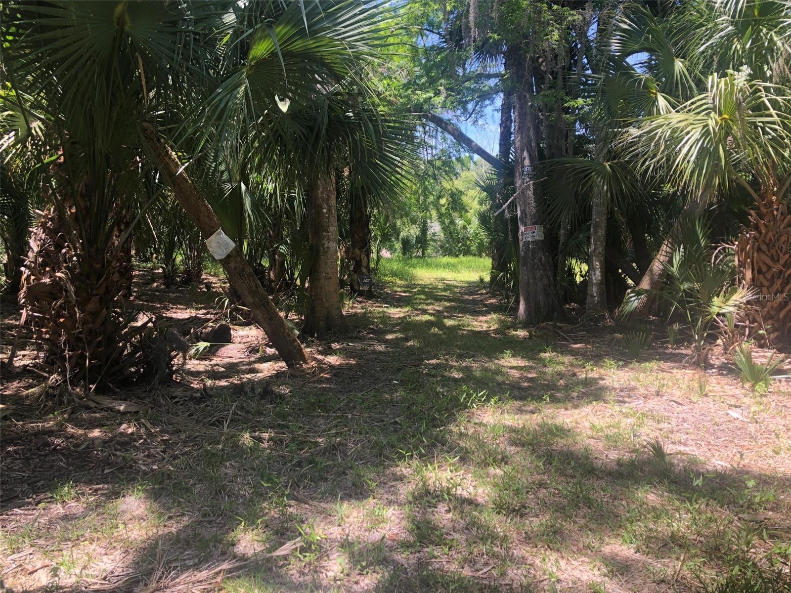 241 NOVA DR, SANFORD, FL, 32771