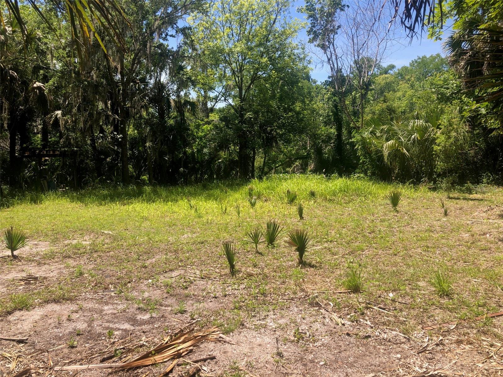 241 NOVA DR, SANFORD, FL, 32771
