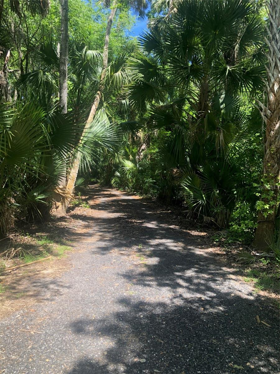 241 NOVA DR, SANFORD, FL, 32771