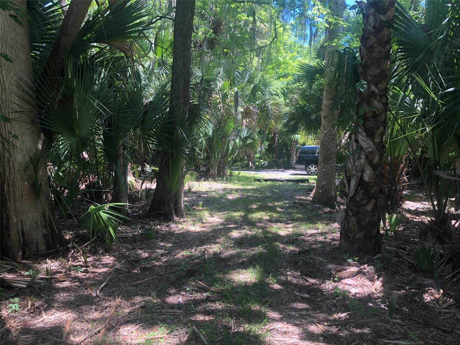 241 NOVA DR, SANFORD, FL, 32771