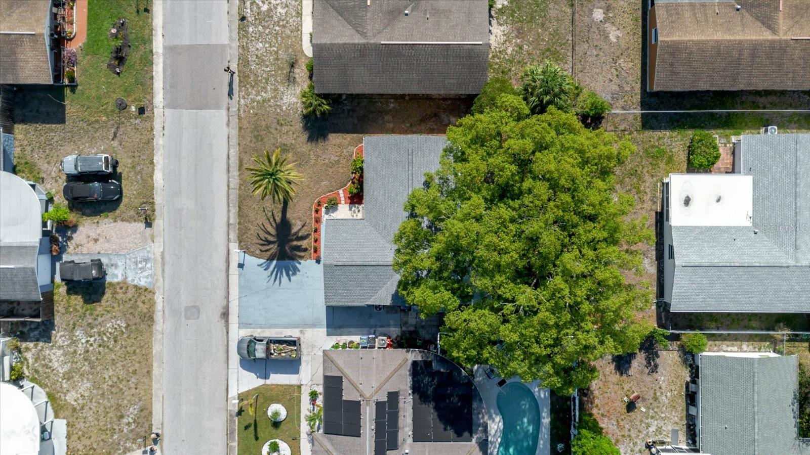 3338 HOOVER DR, HOLIDAY, FL, 34691