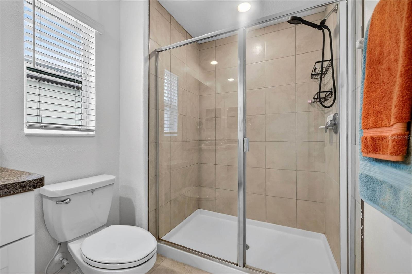10432 SHADY PRESERVE DR, RIVERVIEW, FL, 33578
