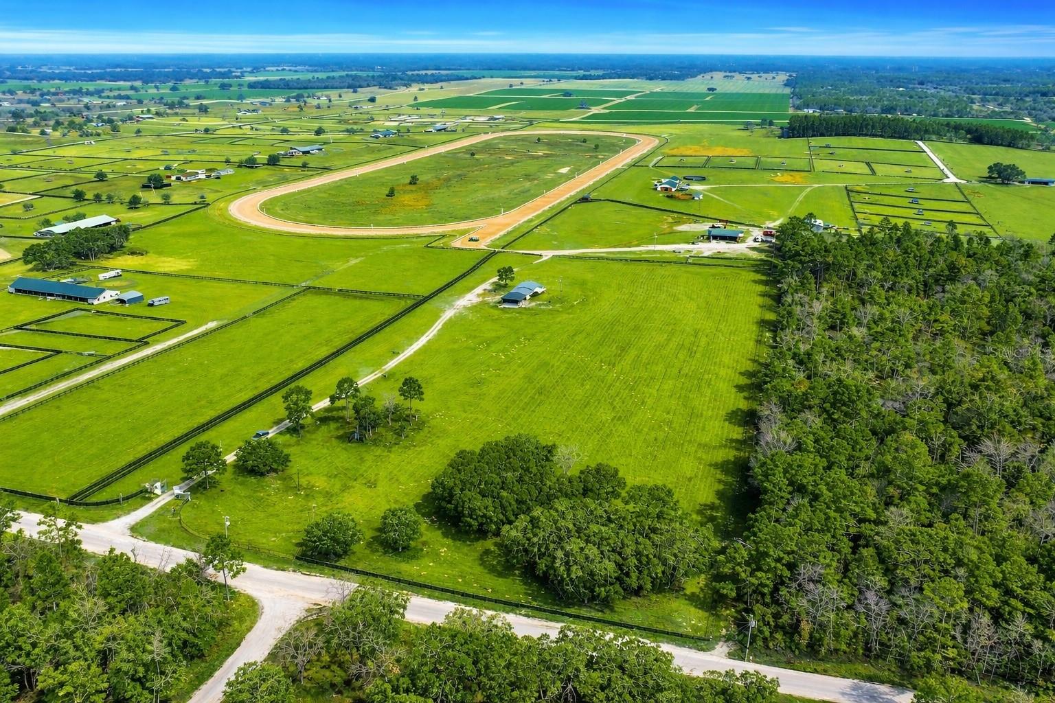 12451 NE 20TH ST, WILLISTON, FL, 32696