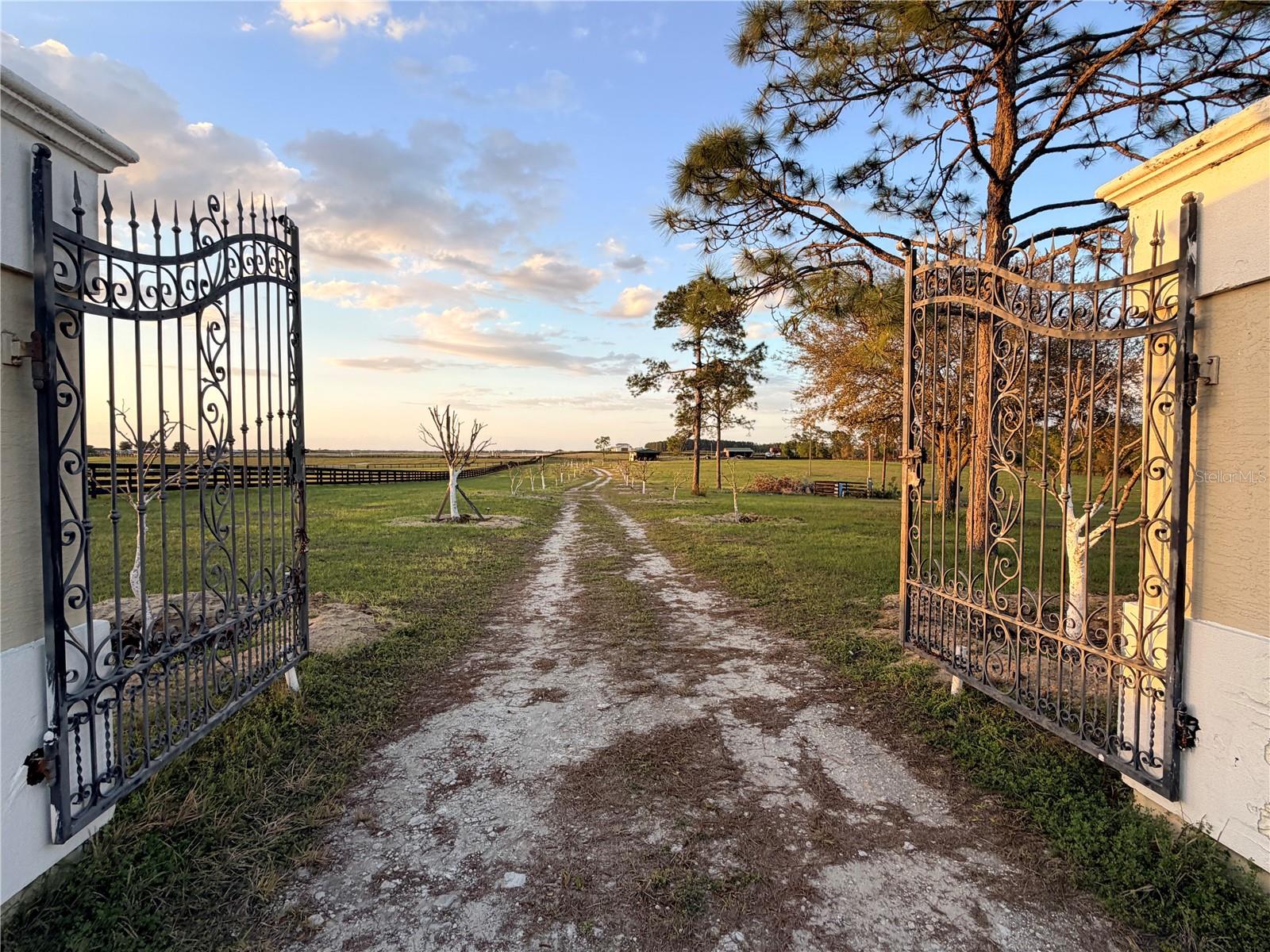 12451 NE 20TH ST, WILLISTON, FL, 32696
