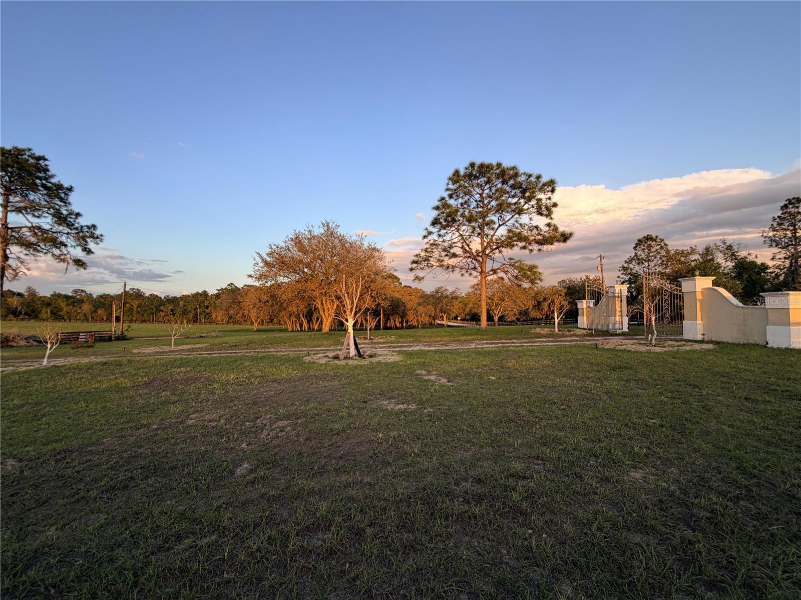 12451 NE 20TH ST, WILLISTON, FL, 32696