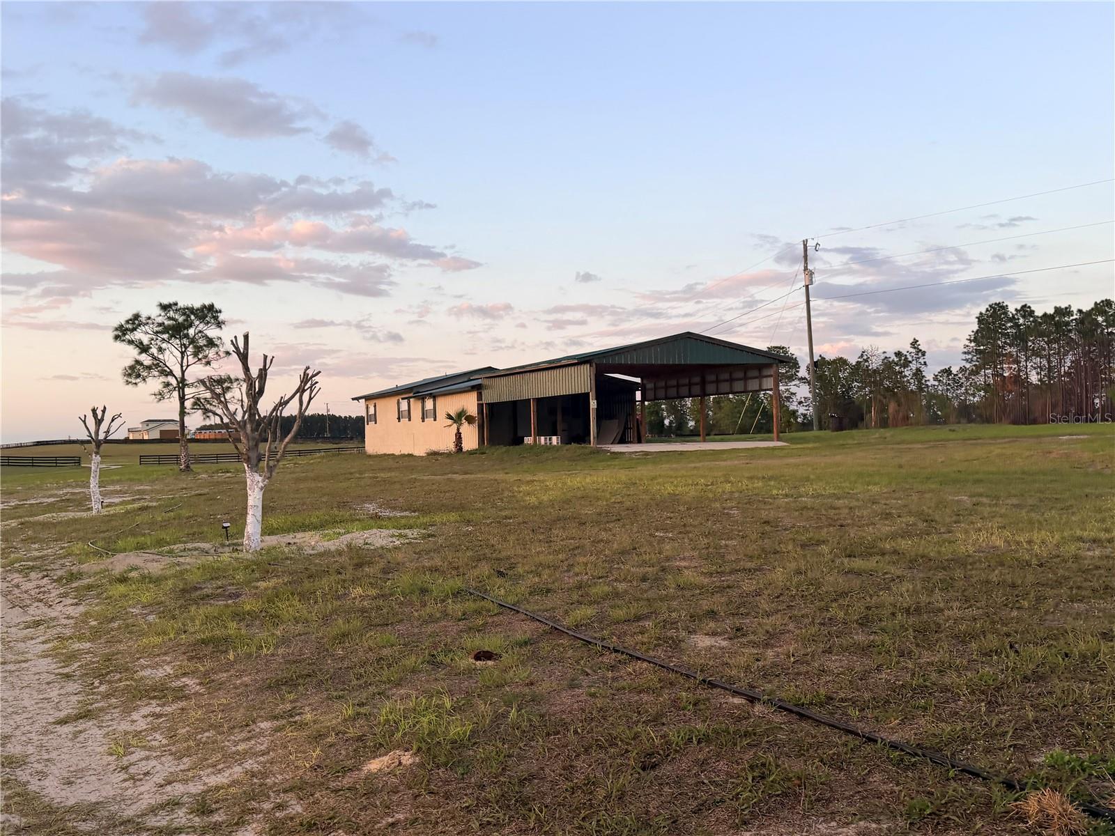 12451 NE 20TH ST, WILLISTON, FL, 32696