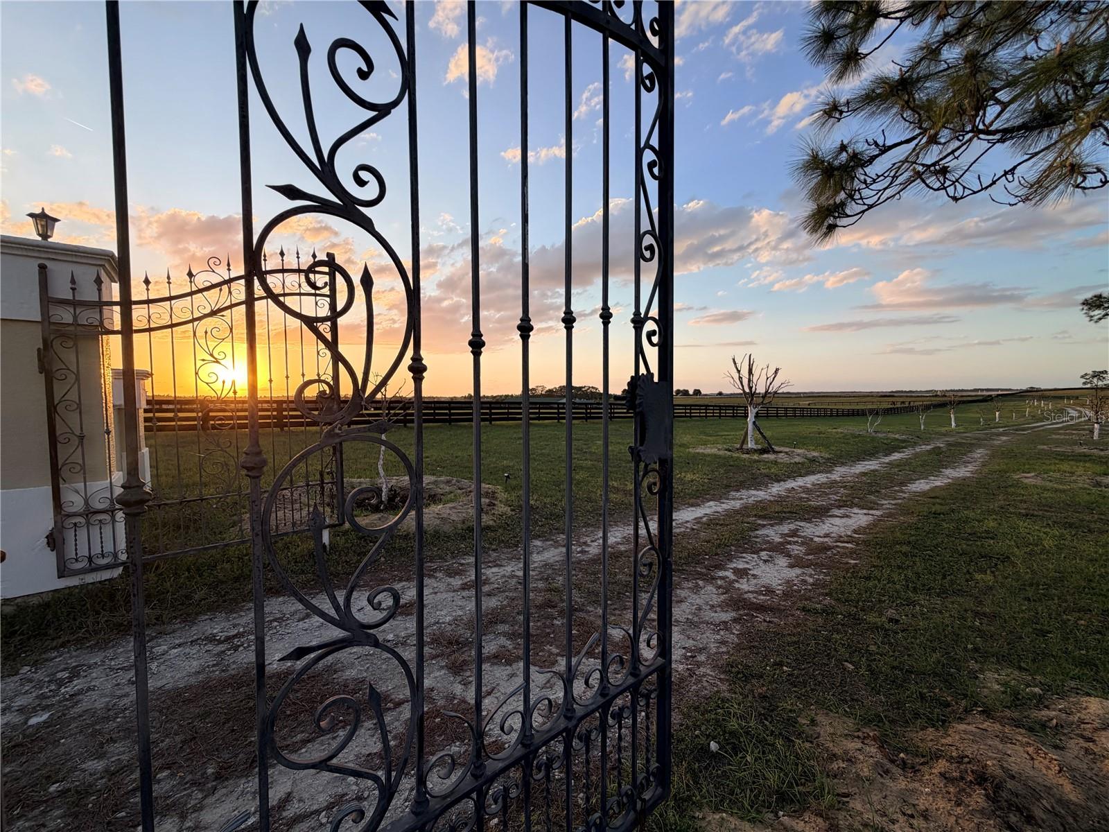 12451 NE 20TH ST, WILLISTON, FL, 32696