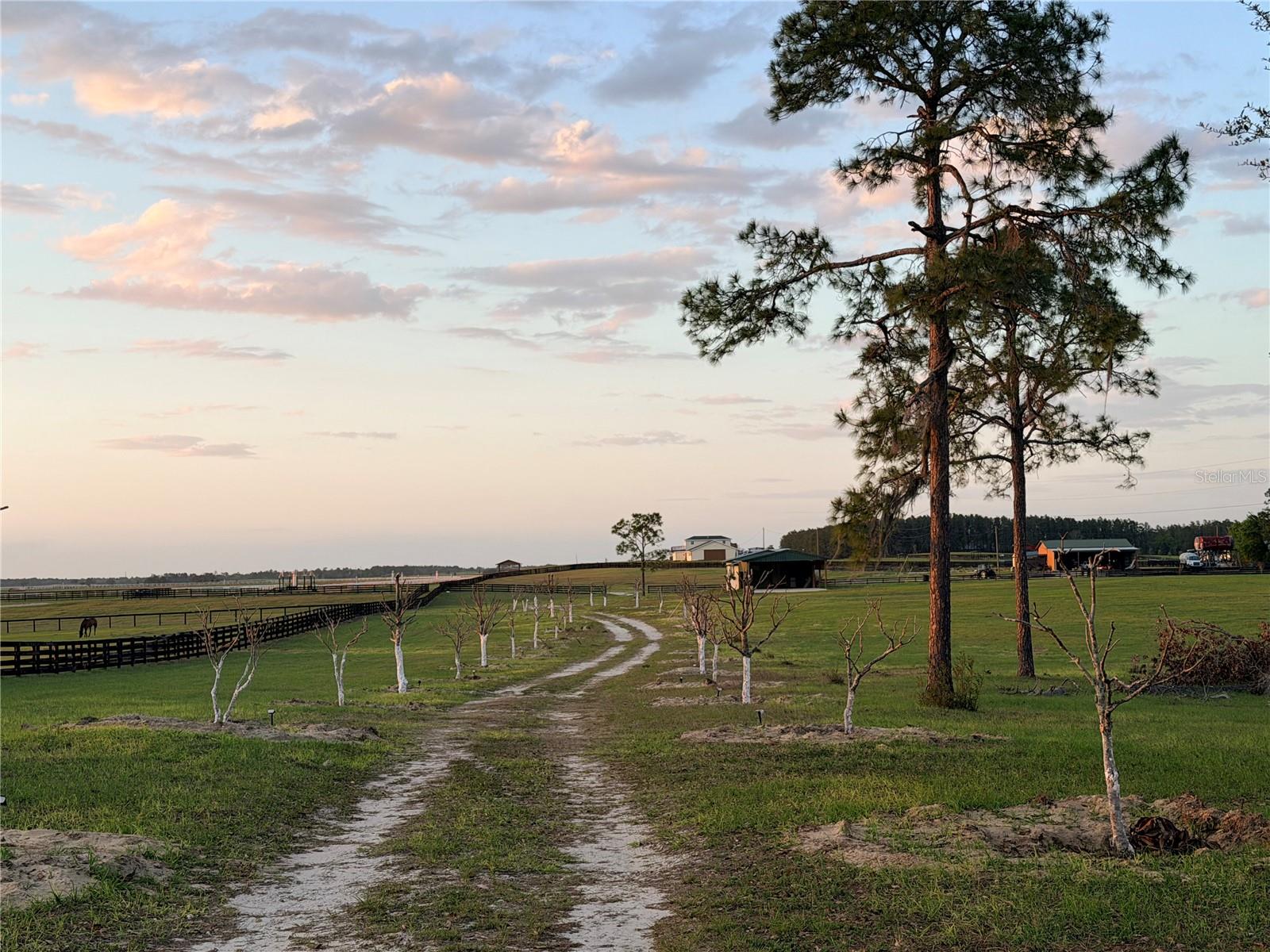 12451 NE 20TH ST, WILLISTON, FL, 32696