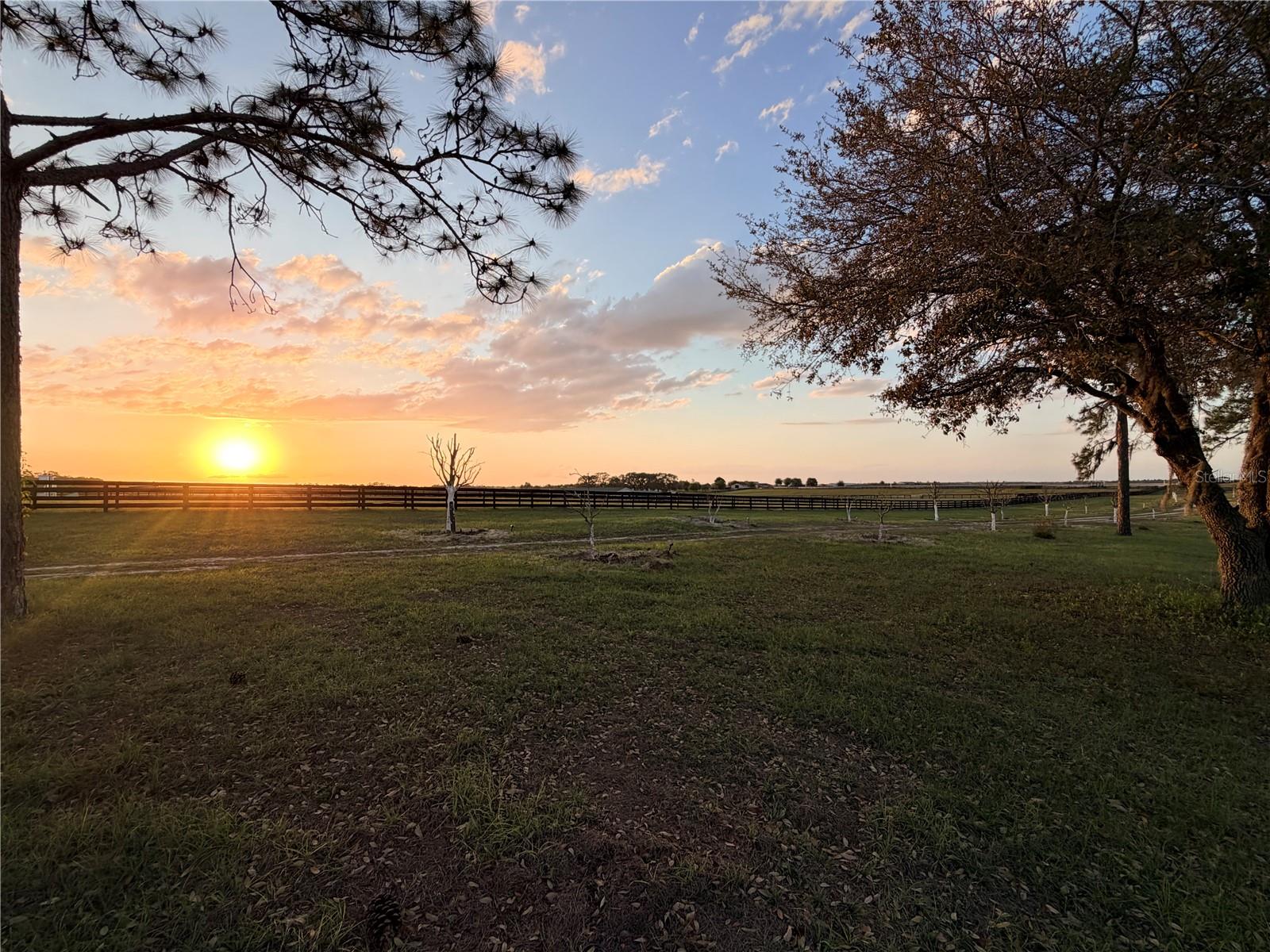 12451 NE 20TH ST, WILLISTON, FL, 32696
