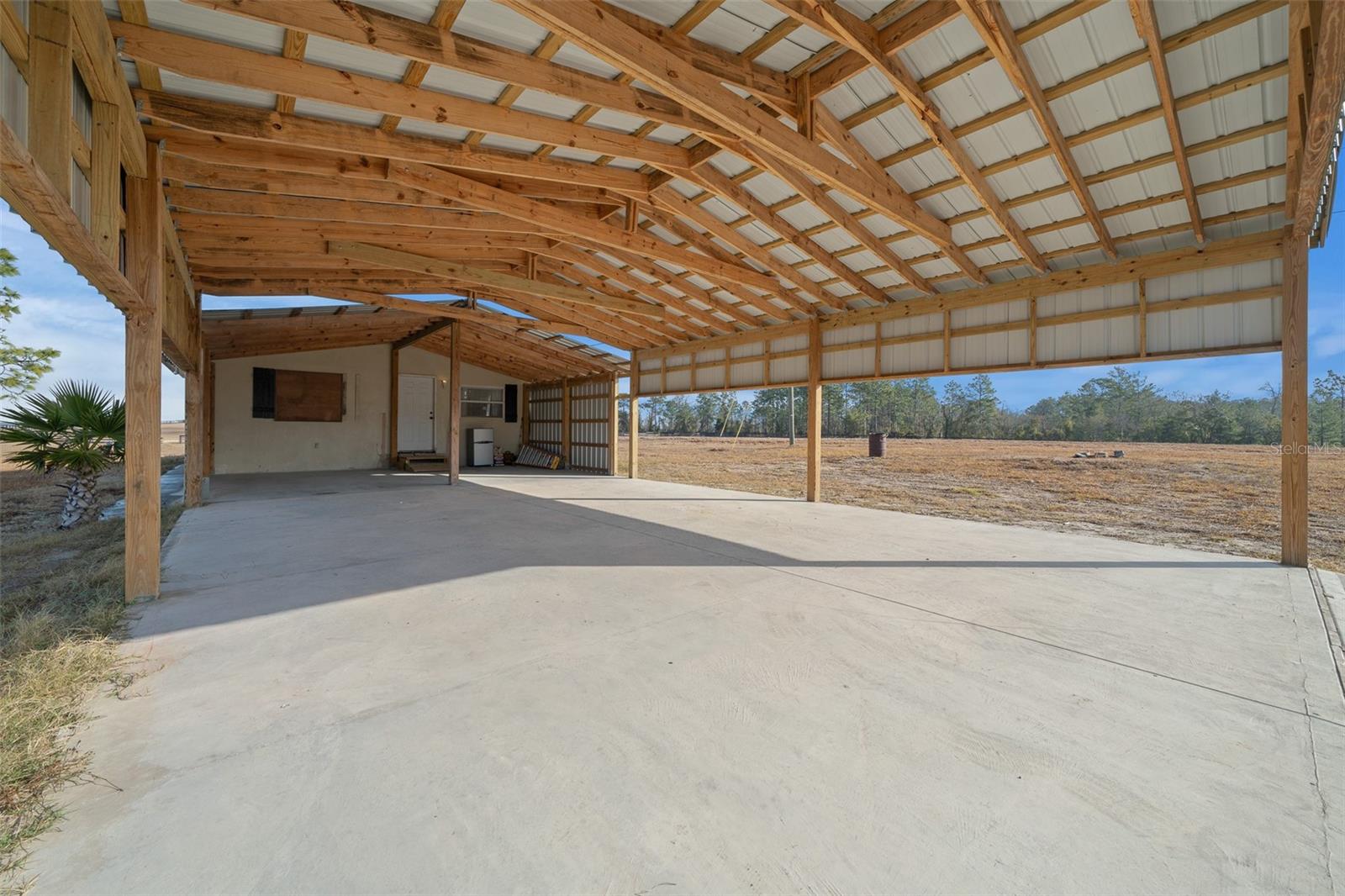 12451 NE 20TH ST, WILLISTON, FL, 32696