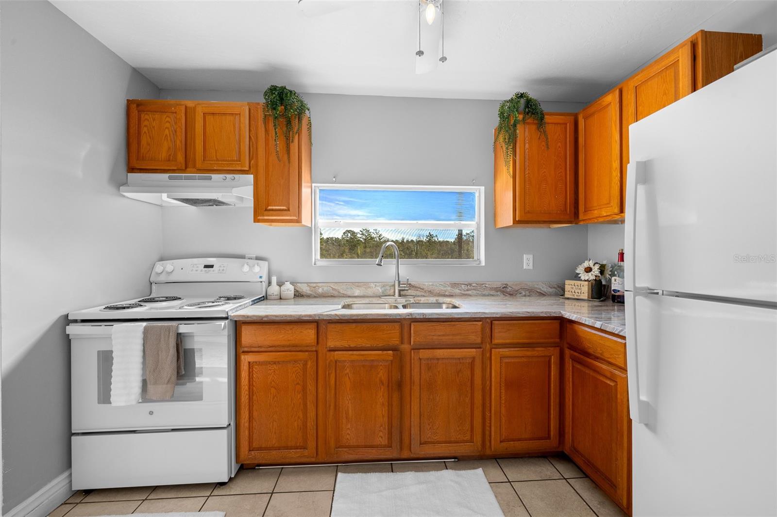12451 NE 20TH ST, WILLISTON, FL, 32696