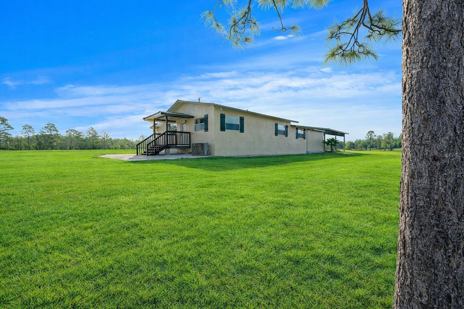 12451 NE 20TH ST, WILLISTON, FL, 32696