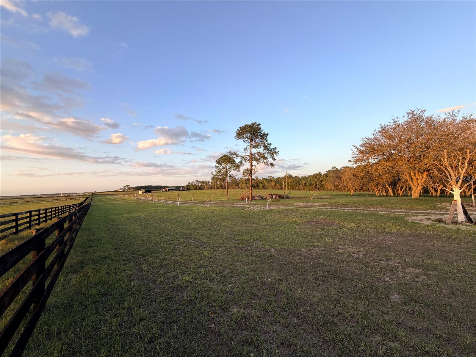 12451 NE 20TH ST, WILLISTON, FL, 32696