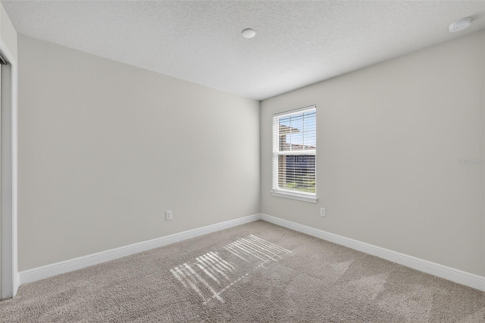 6050 GRAND SONATA AVE, LUTZ, FL, 33558