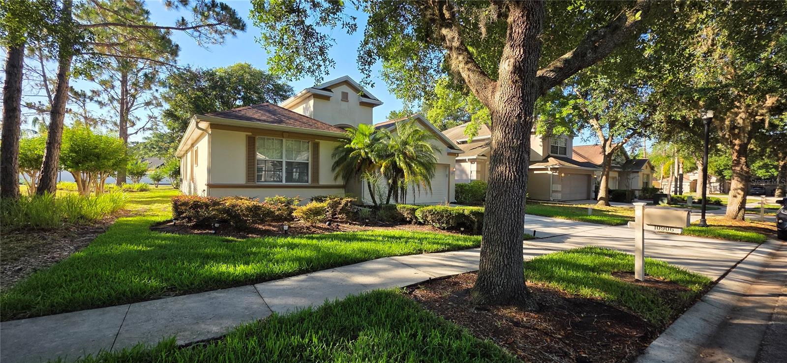10906 TREE CACTUS LOOP, LAND O LAKES, FL, 34638