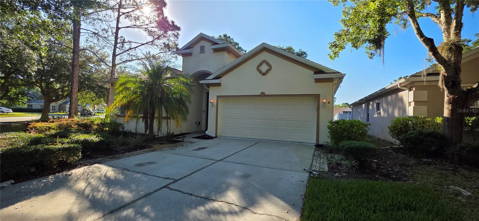 10906 TREE CACTUS LOOP, LAND O LAKES, FL, 34638