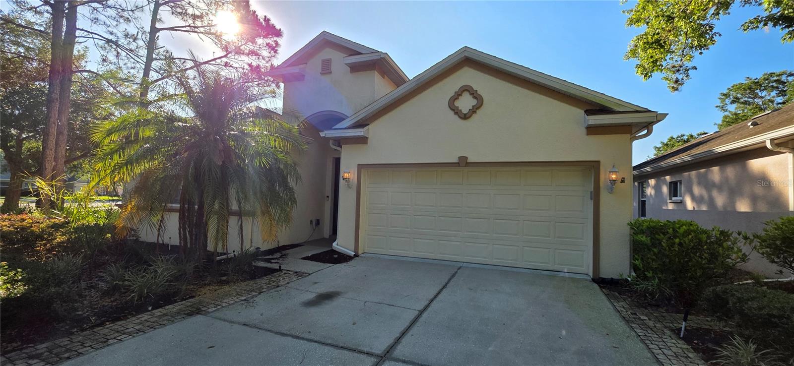 10906 TREE CACTUS LOOP, LAND O LAKES, FL, 34638