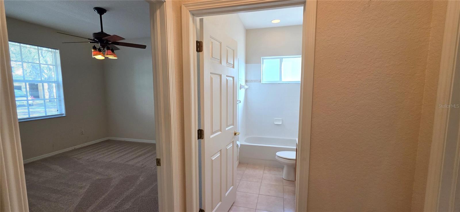 10906 TREE CACTUS LOOP, LAND O LAKES, FL, 34638