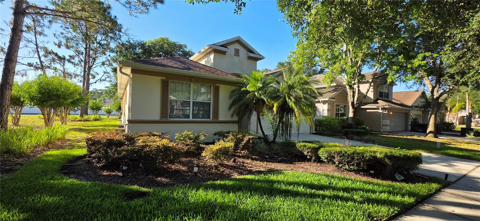 10906 TREE CACTUS LOOP, LAND O LAKES, FL, 34638