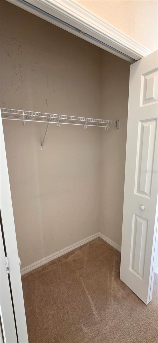 10906 TREE CACTUS LOOP, LAND O LAKES, FL, 34638