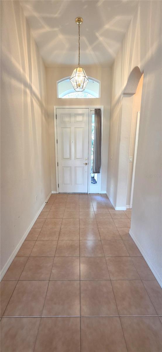 10906 TREE CACTUS LOOP, LAND O LAKES, FL, 34638