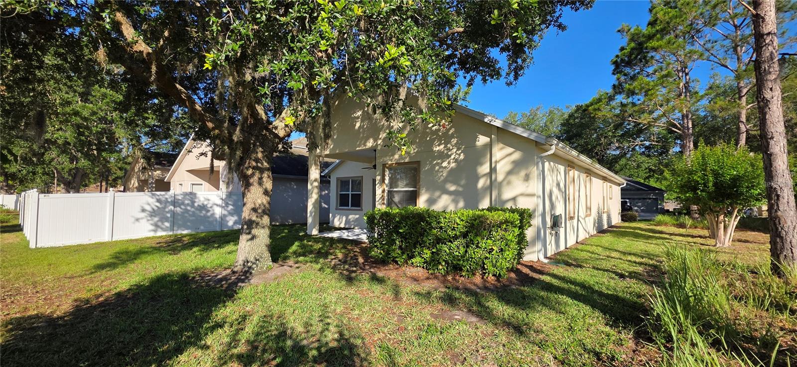 10906 TREE CACTUS LOOP, LAND O LAKES, FL, 34638