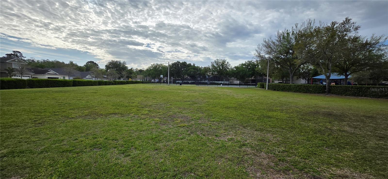 10906 TREE CACTUS LOOP, LAND O LAKES, FL, 34638