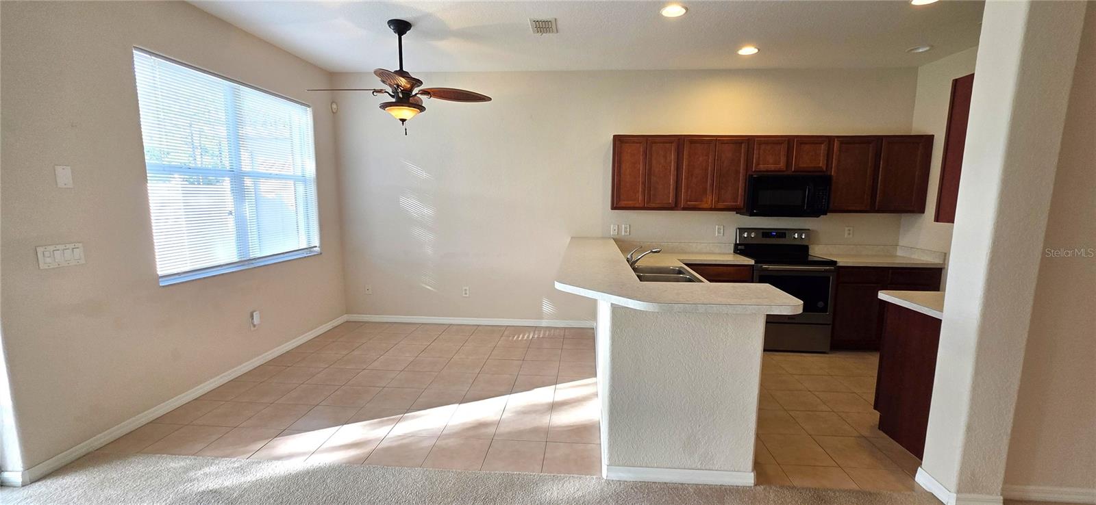 10906 TREE CACTUS LOOP, LAND O LAKES, FL, 34638