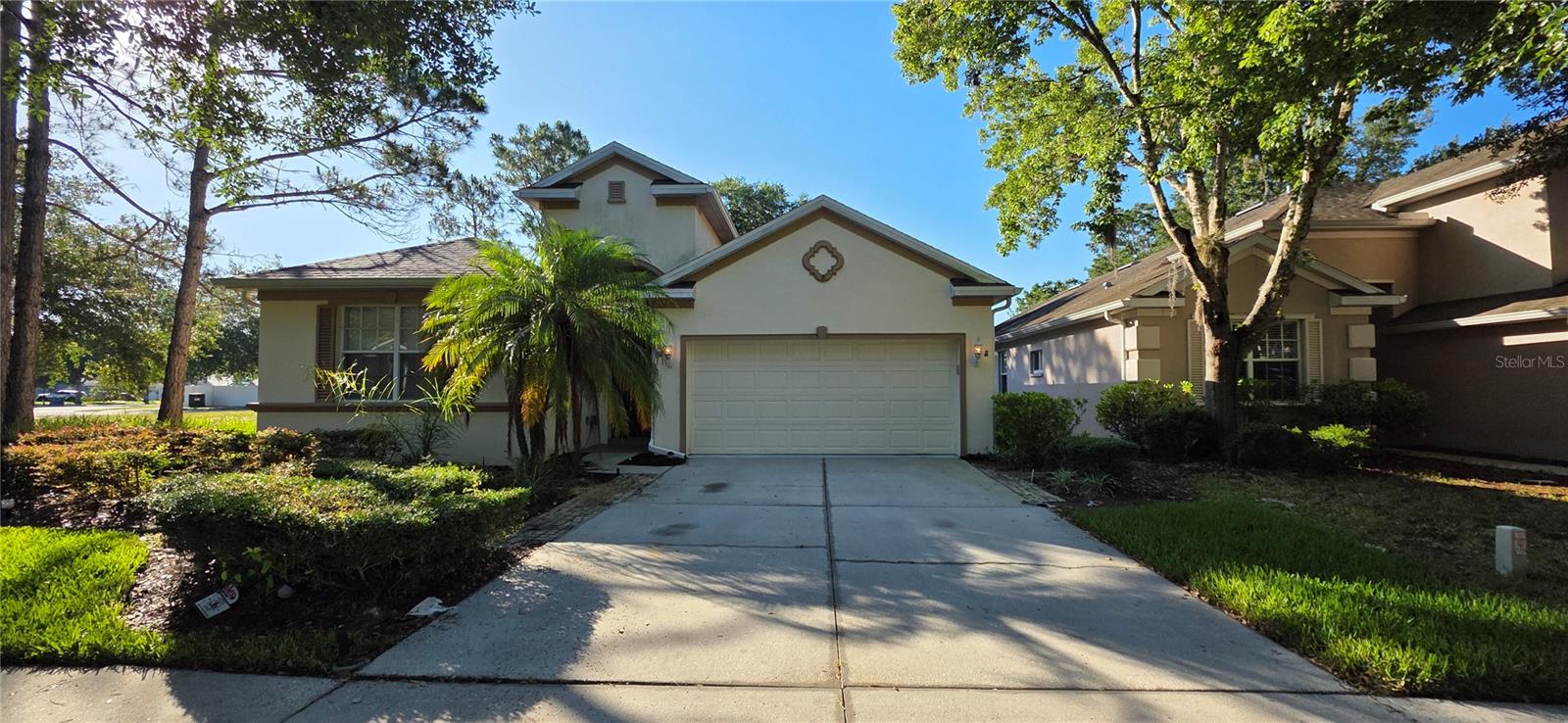 10906 TREE CACTUS LOOP, LAND O LAKES, FL, 34638