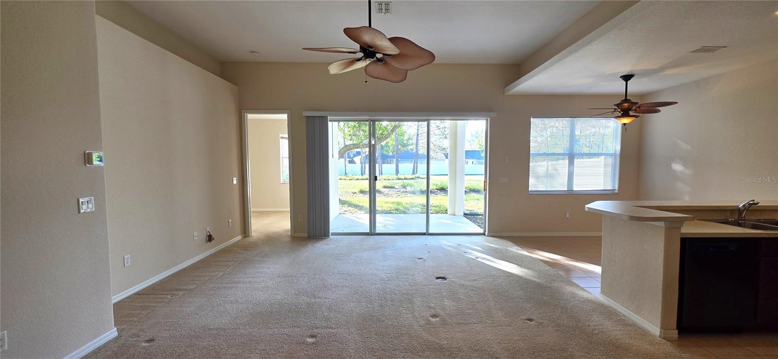 10906 TREE CACTUS LOOP, LAND O LAKES, FL, 34638