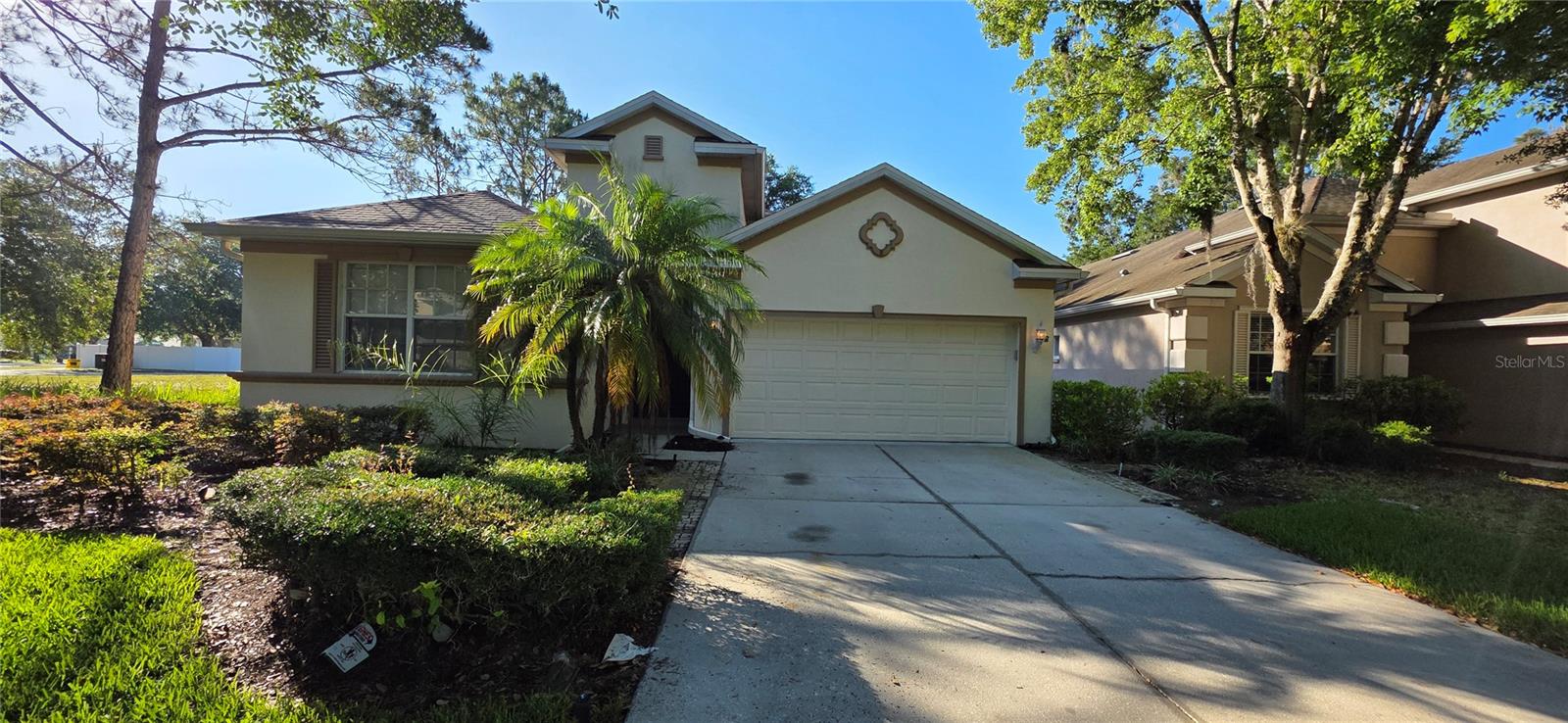 10906 TREE CACTUS LOOP, LAND O LAKES, FL, 34638