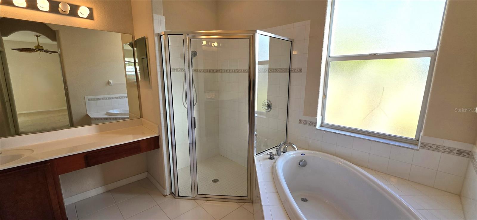 10906 TREE CACTUS LOOP, LAND O LAKES, FL, 34638