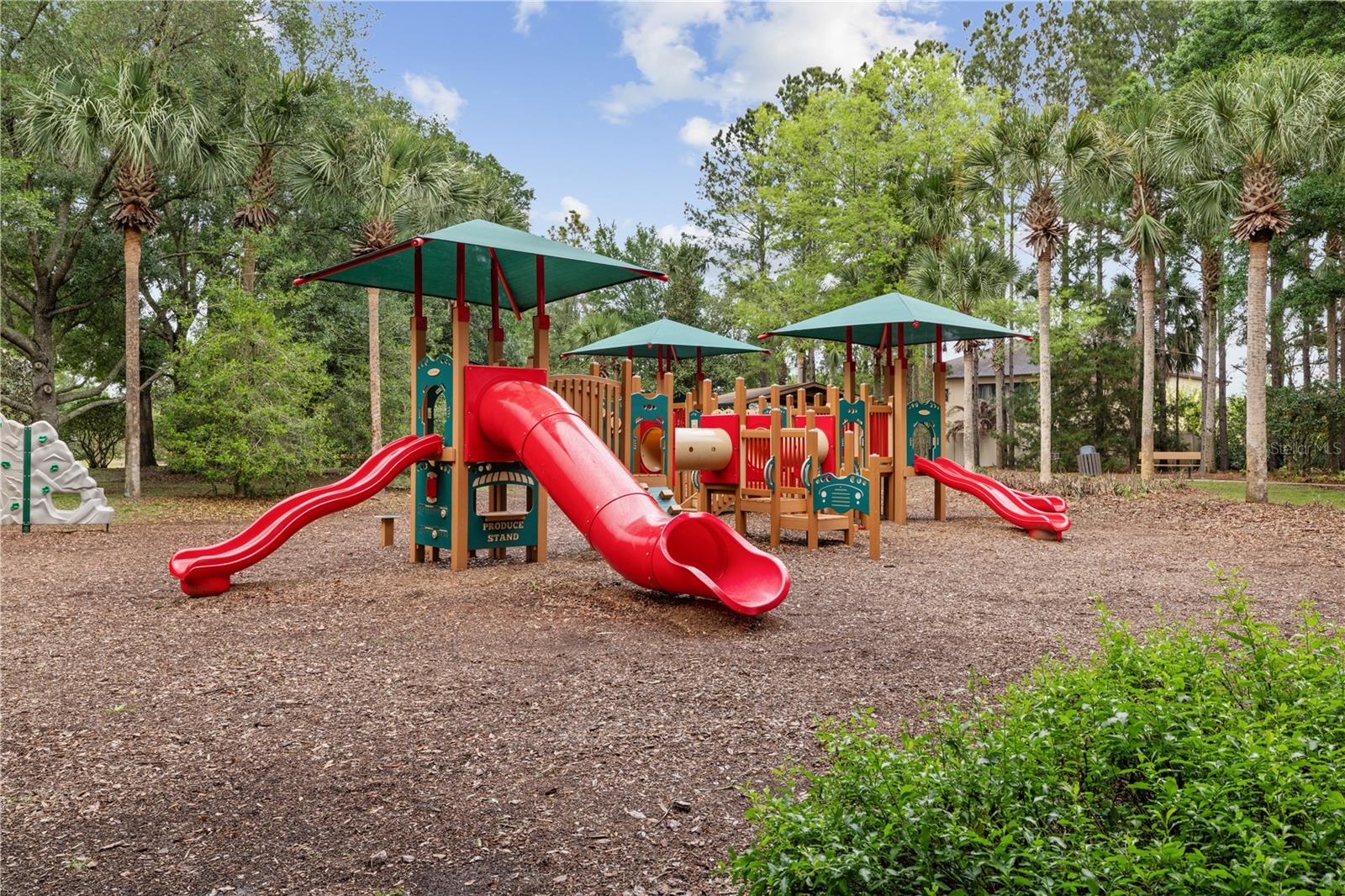 20926 SULLIVAN RANCH BLVD, MOUNT DORA, FL, 32757