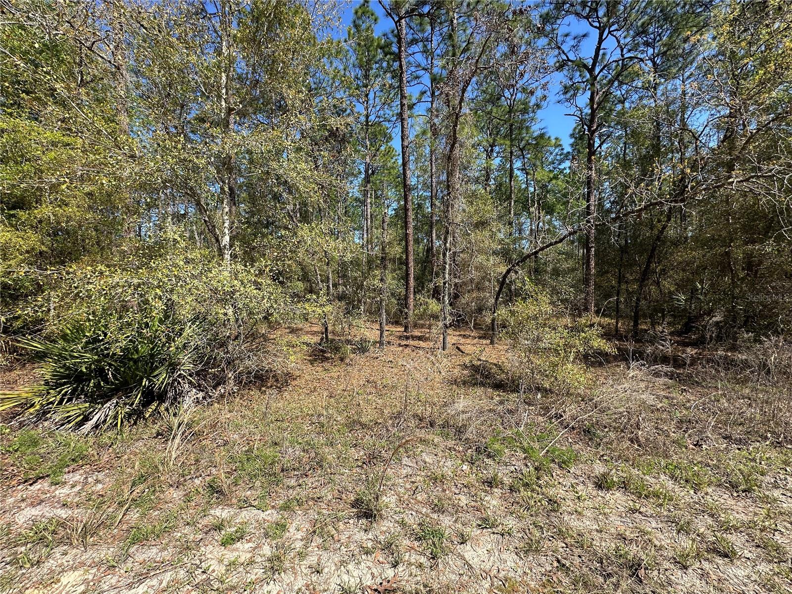TBD SW 29TH ST, OCALA, FL, 34473