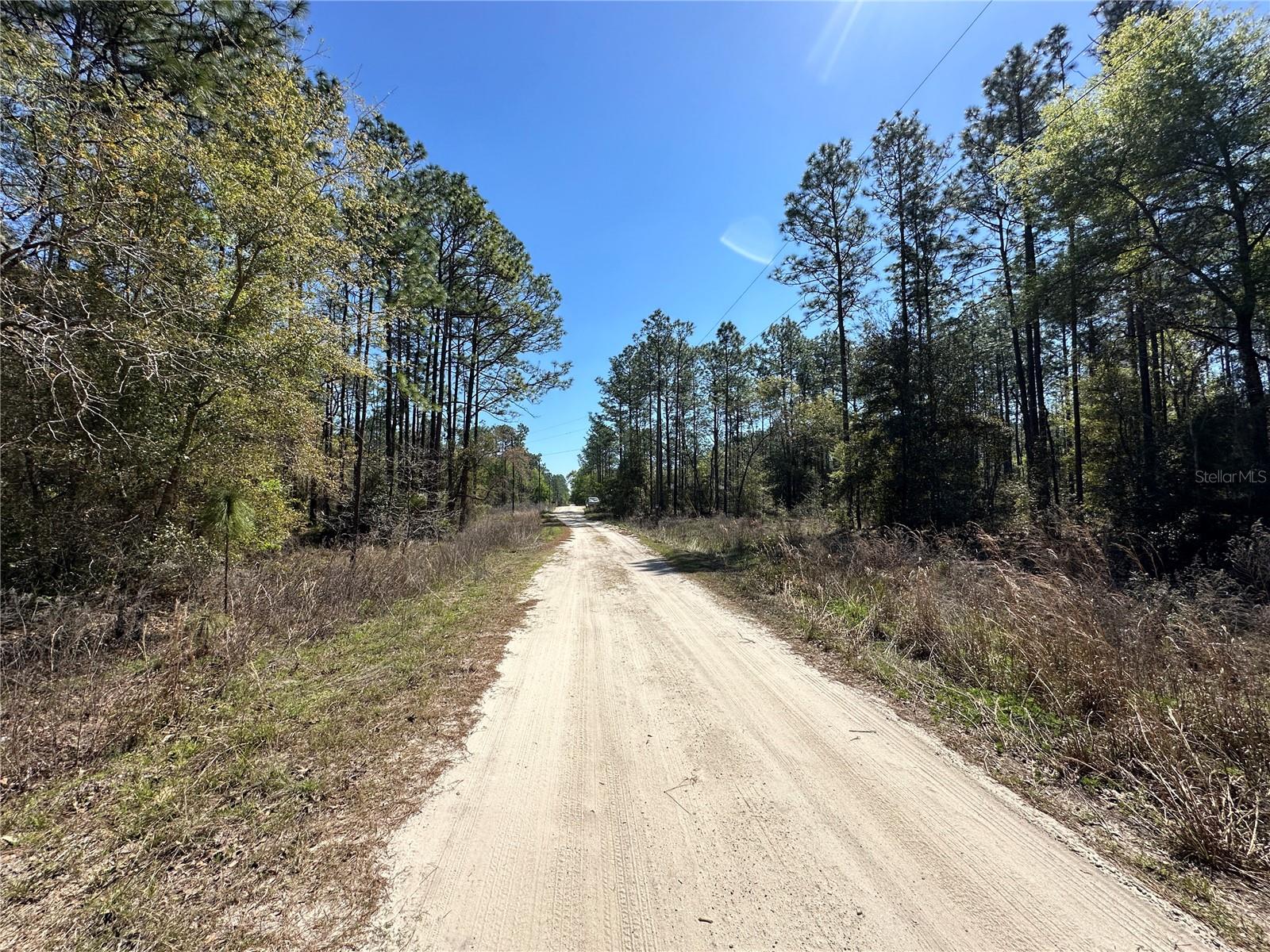 TBD SW 29TH ST, OCALA, FL, 34473
