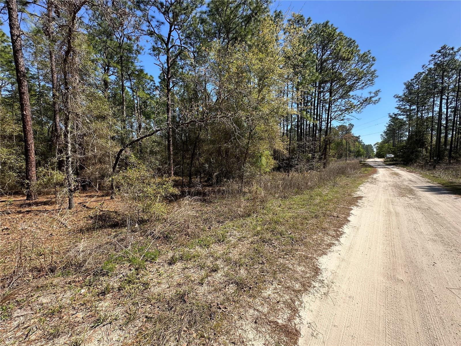 TBD SW 29TH ST, OCALA, FL, 34473