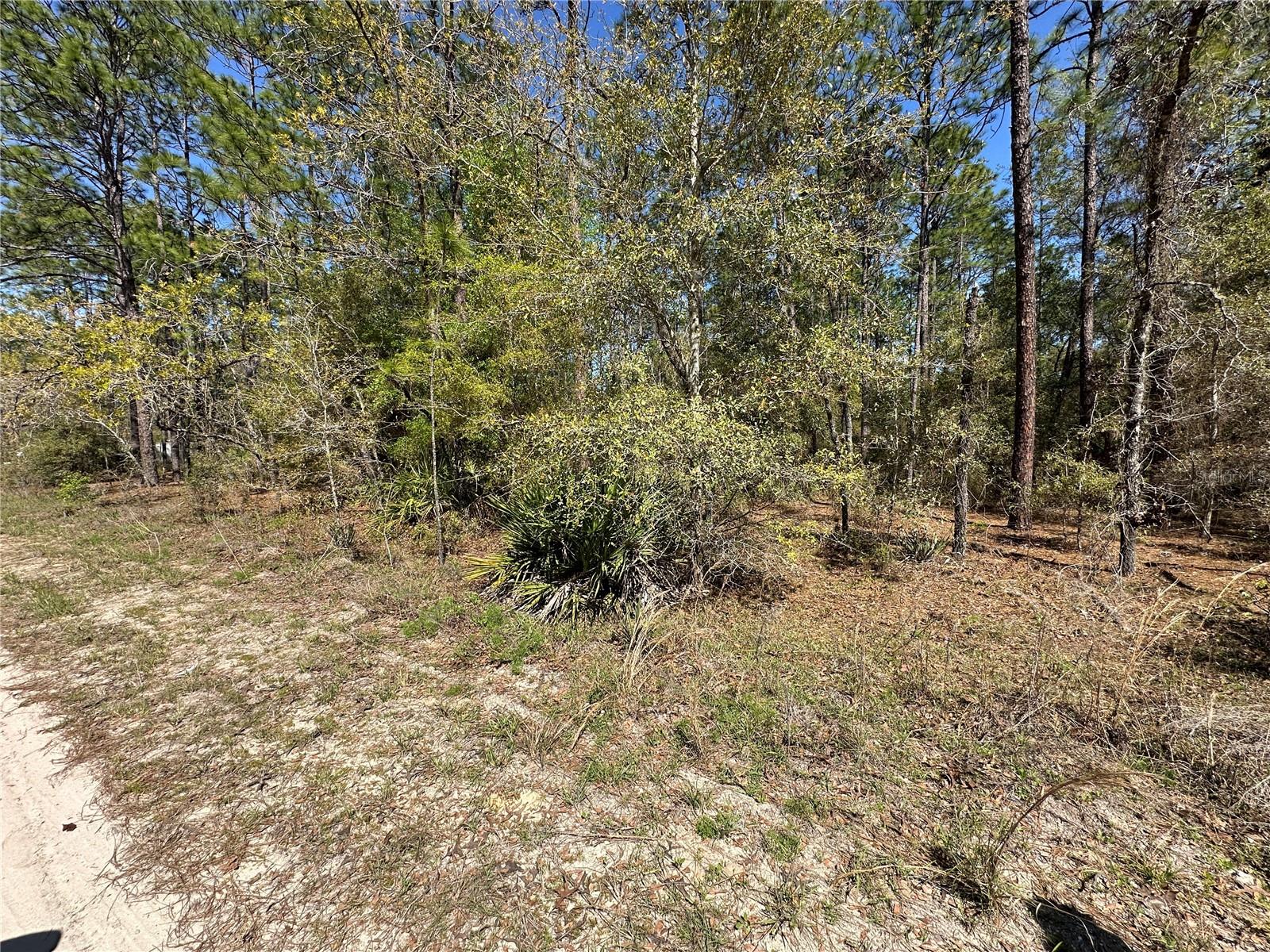 TBD SW 29TH ST, OCALA, FL, 34473