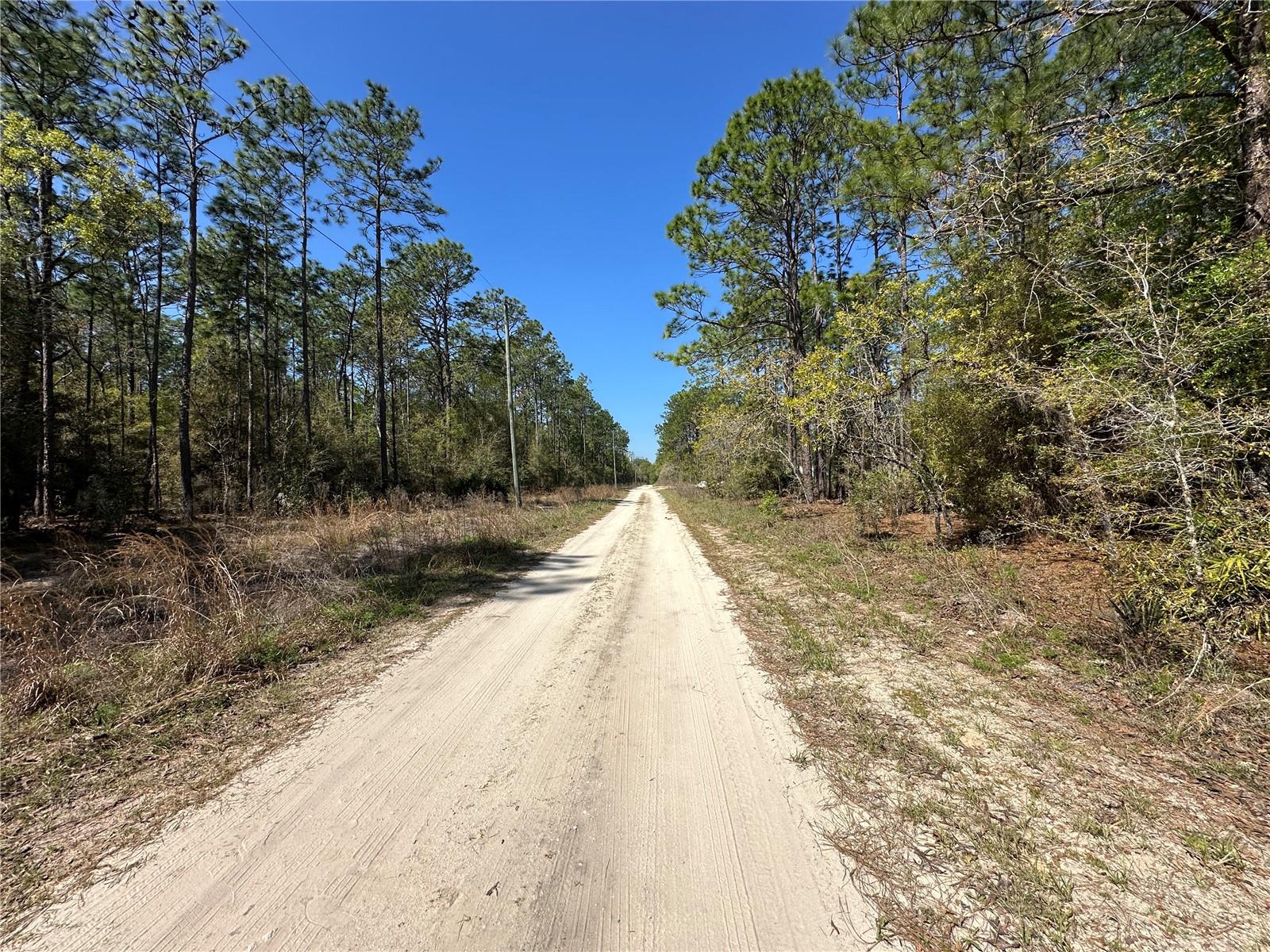 TBD SW 29TH ST, OCALA, FL, 34473