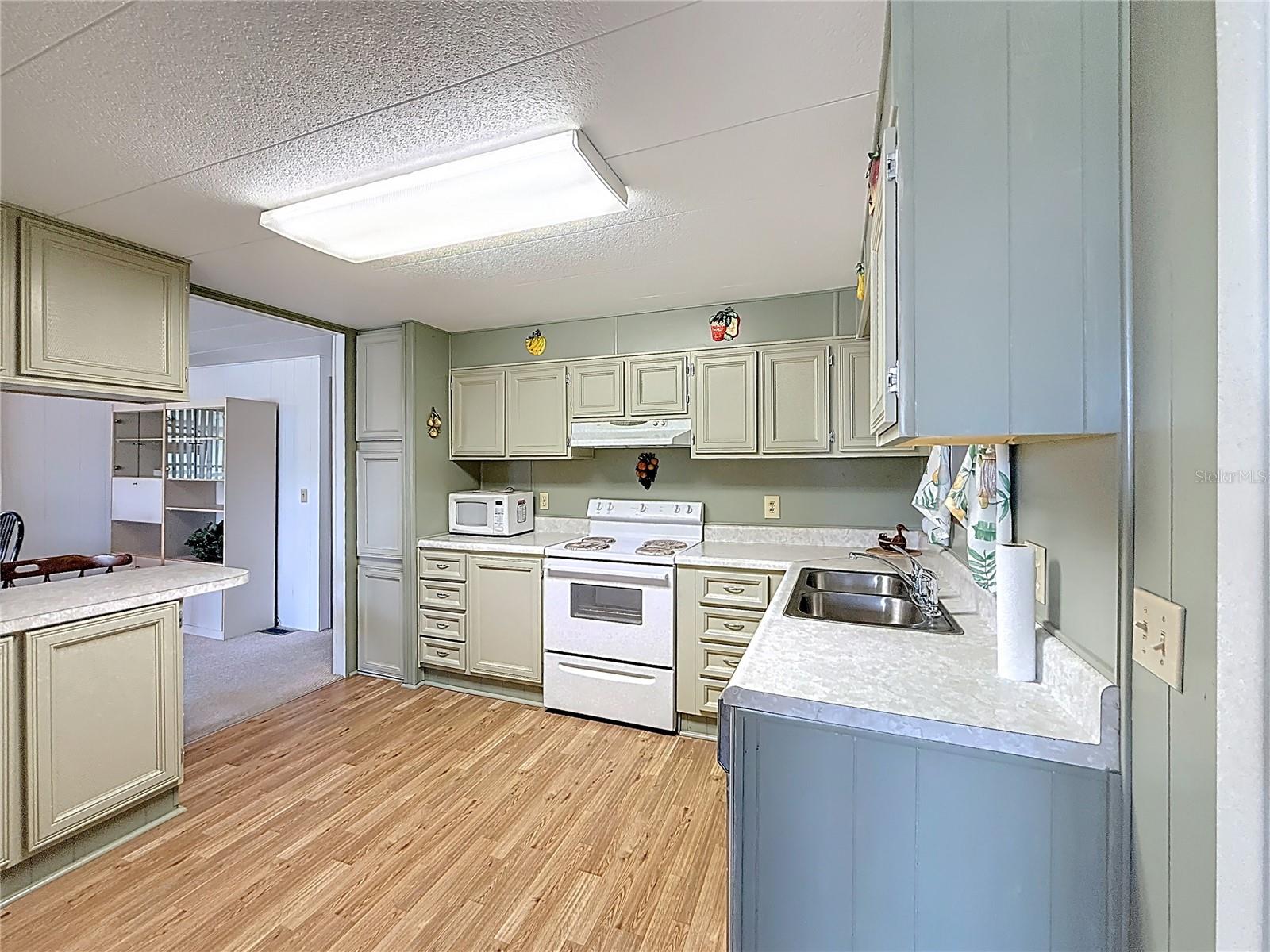 1231 ELKHART CIR, TAVARES, FL, 32778