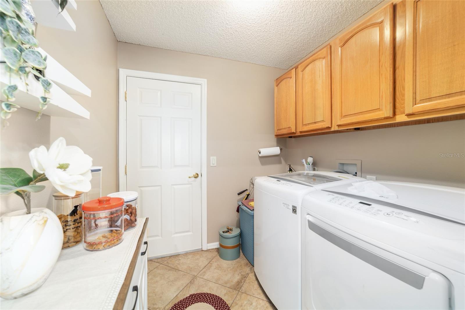 7809 SE 171ST HARLESTON ST, THE VILLAGES, FL, 32162